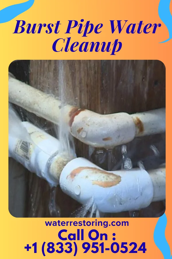 Burst Pipe Water Cleanup in South New Castle, PA