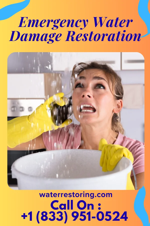 Emergency Water Damage Restoration in South New Castle, PA