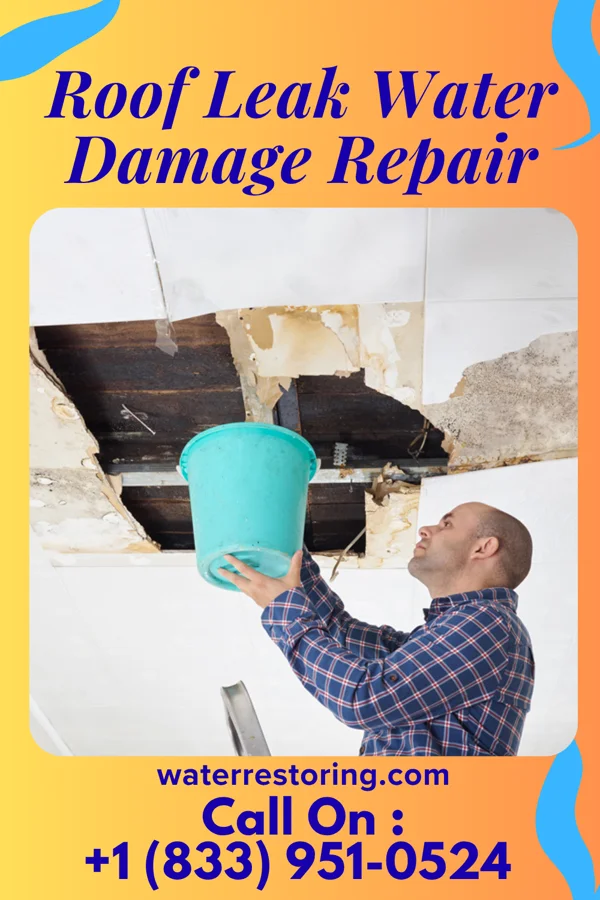 Roof Leak Water Damage Repair in South New Castle, PA
