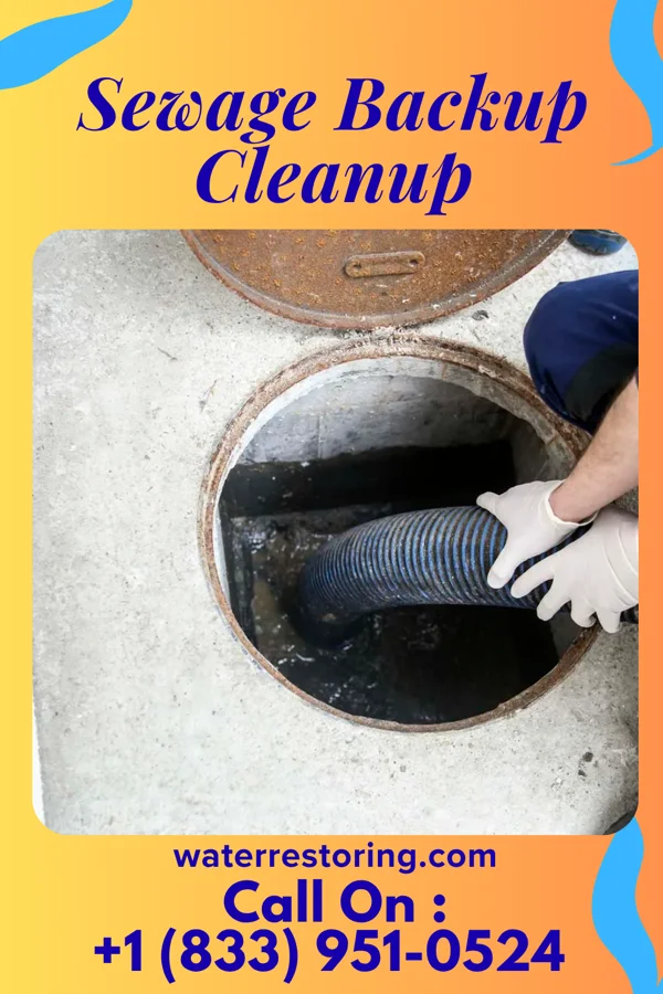 Sewage Backup Cleanup in South New Castle, PA