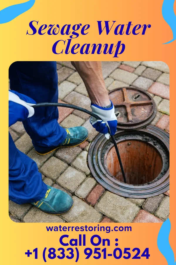 Sewage Water Cleanup in South New Castle, PA