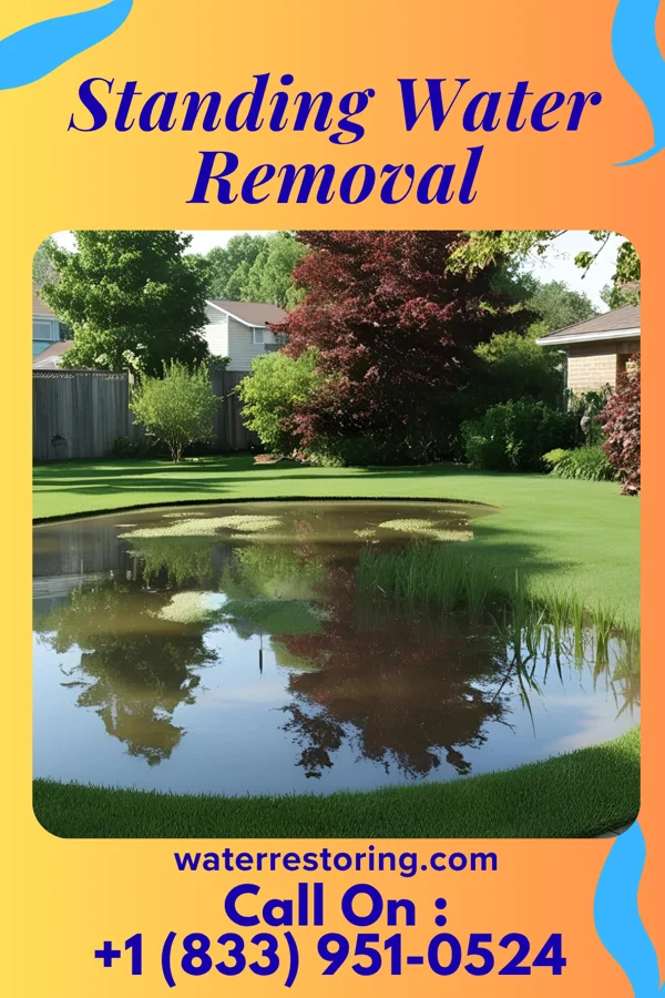 Standing Water Removal in South New Castle, PA